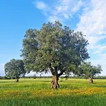 Speroni D'oro Nyaraló