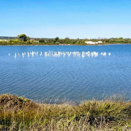 Speroni D'oro * 산 피에트로 인 베바냐